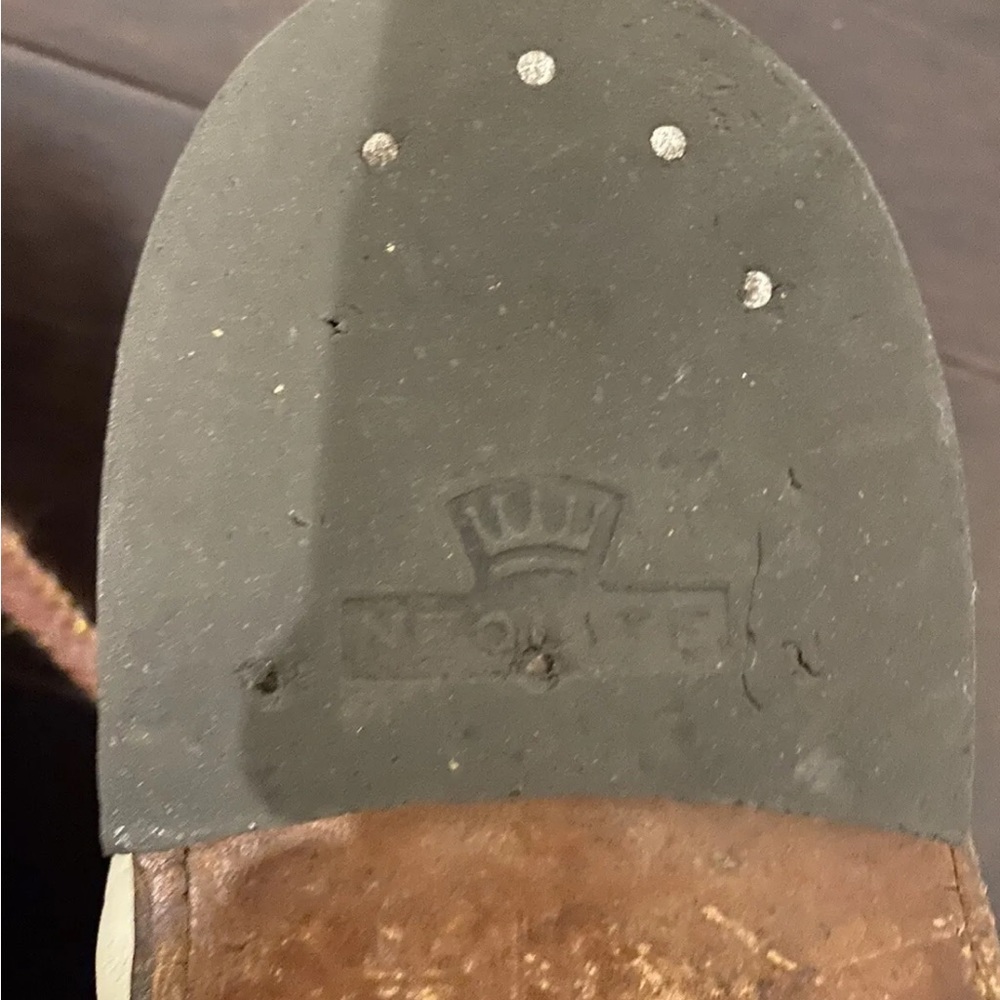 Professional clown shoes